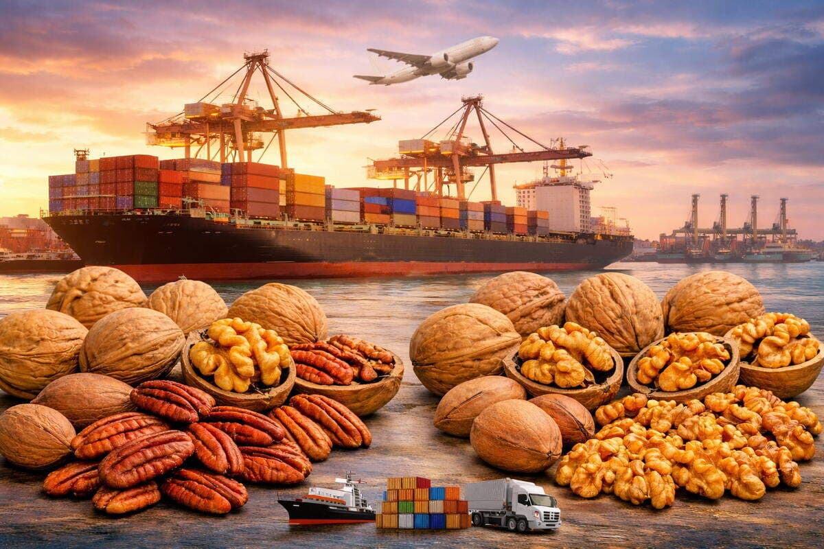 La Nostra Storia | Trading di Prodotti Agroalimentari Premium Scopri la storia di Raíz Andina: trader specializzati in noci e frutta secca premium da Argentina e Cile per il mercato internazionale.