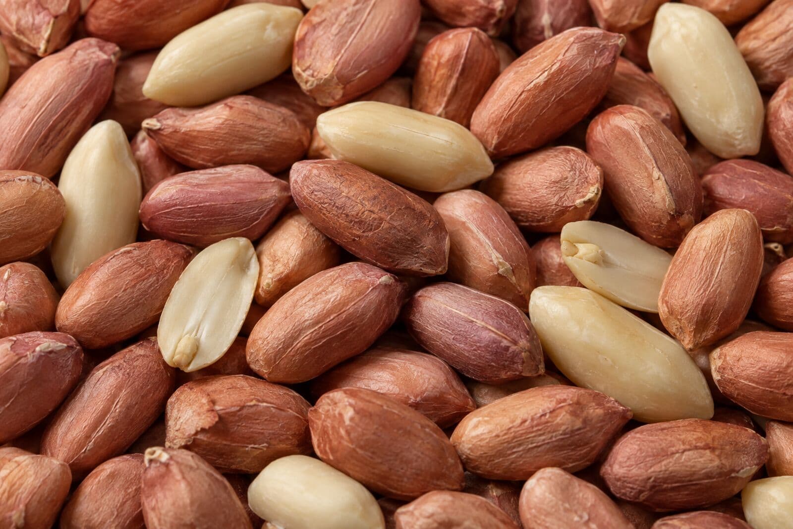 Argentine peanuts
