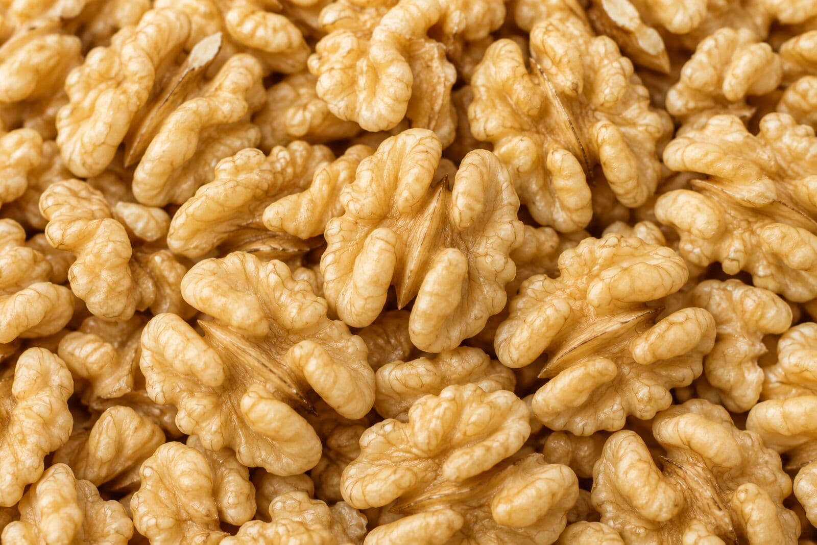Chandler Walnut - Argentina Shelled Argentine Chandler walnuts, large caliber, extra light color, grown in Mendoza