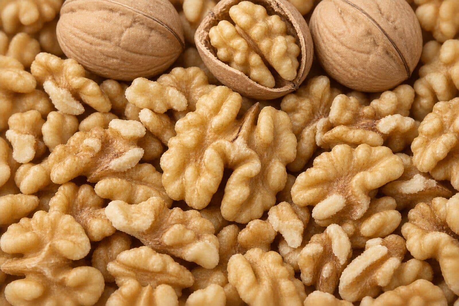 Howard Walnut - Chile Chilean Howard walnuts with a well-sealed shell and light-coloured kernel, high storage stability