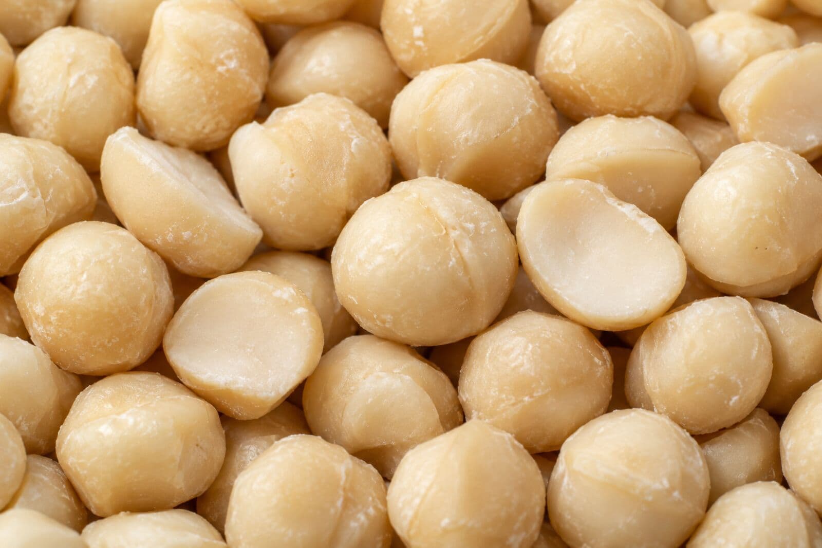Macadamia Nut - South Africa Premium South African macadamia nuts, creamy texture and delicate flavor from the world's largest producer