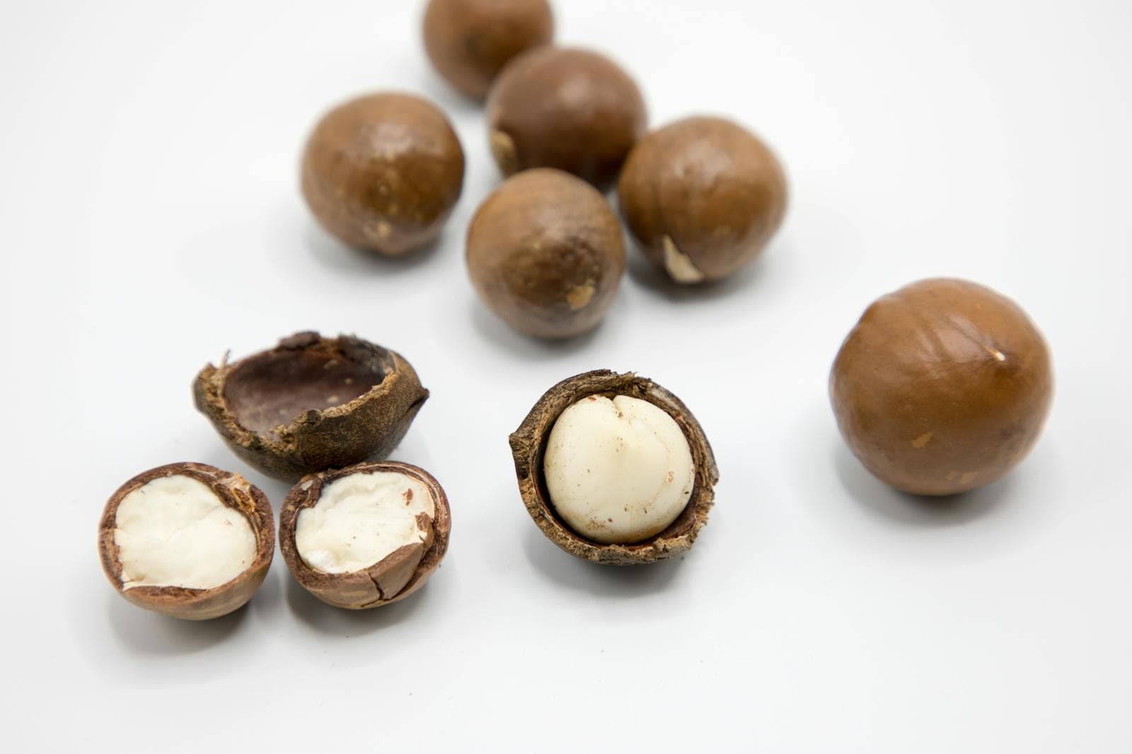 Nuez de Macadamia - Sudáfrica Nueces de macadamia sudafricanas premium, textura cremosa y sabor delicado del mayor productor mundial