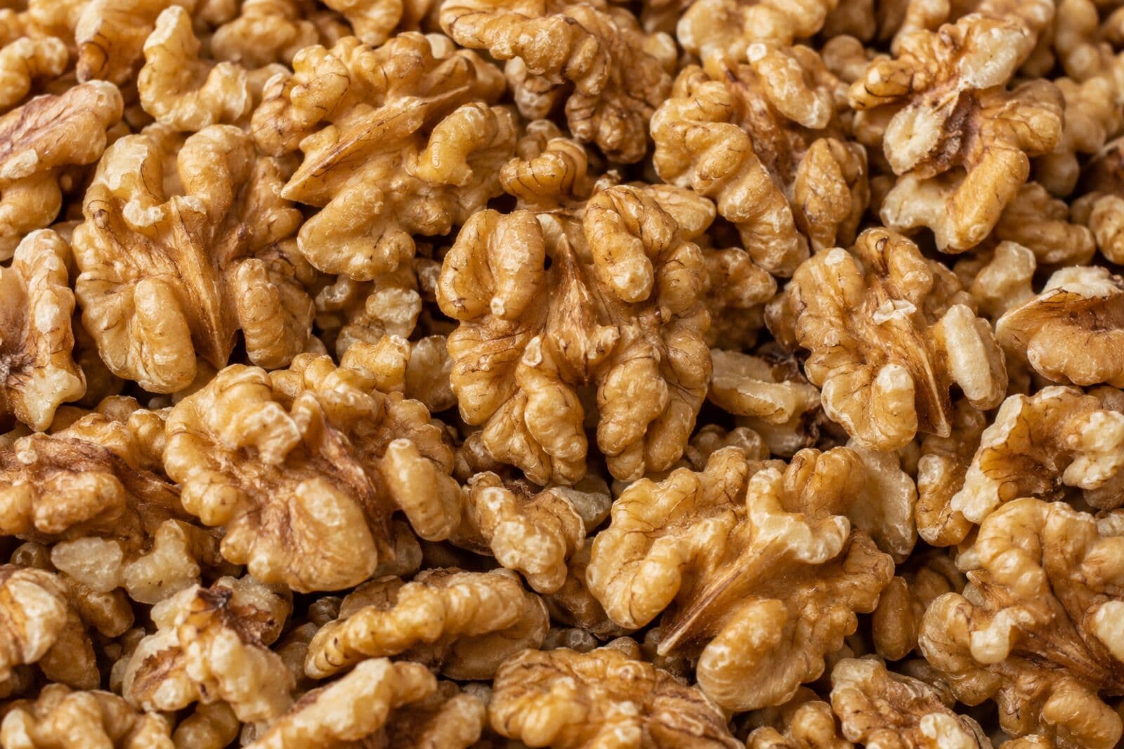 Serr Walnut - Chile Medium-caliber Chilean Serr walnuts, thin shell and excellent cracking yield